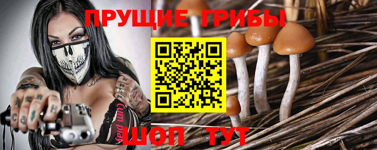 Псилоцибиновые грибы ЛСД Губкин