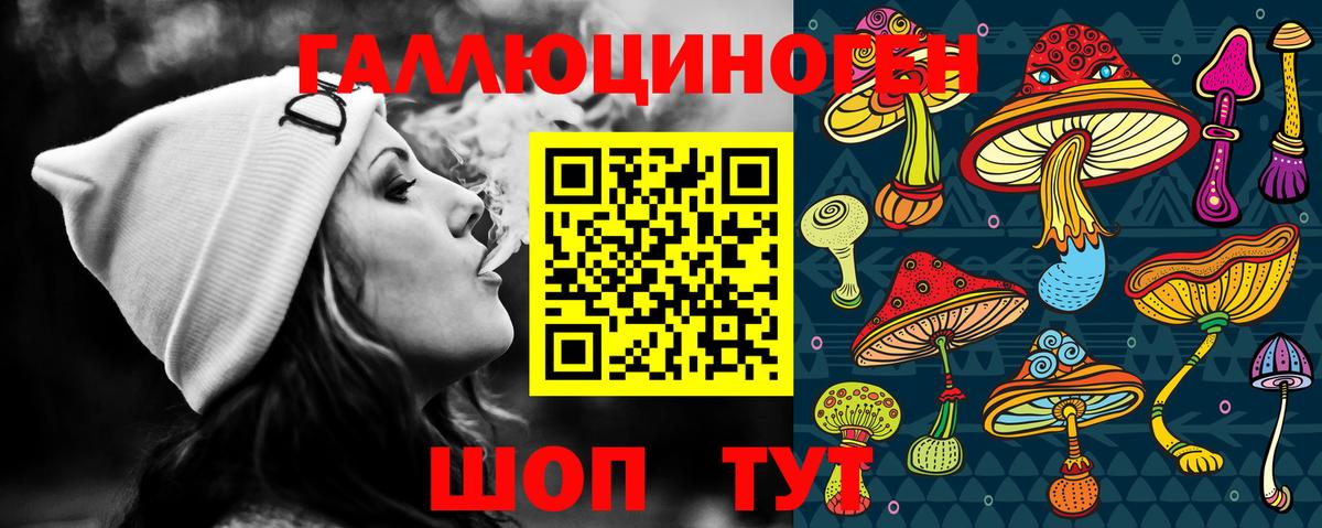 Губкин  Галлюциногенные грибы прущие грибы  Вход с VPN  Псилоцибиновые грибы Psilocybine cubensis 